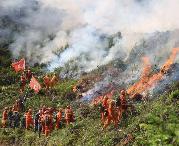 MPC-TS-W150-T1 FIDCP Feld-Kommandoplattform - Anwendung Brandbekämpfung und Rettung
